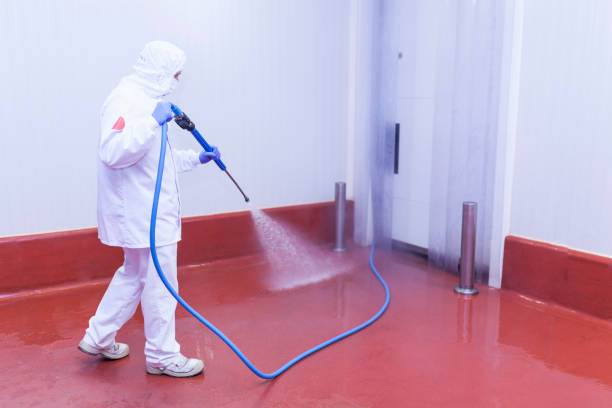 Best Playground Equipment Cleaning  in Victoria, VA